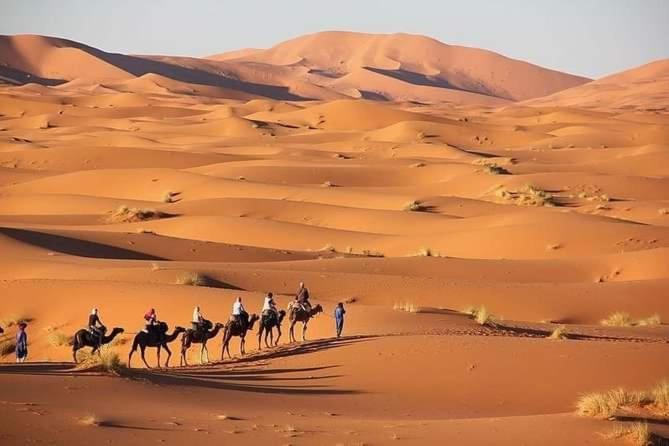 Merzouga Camel Trekking Camp Ngoại thất bức ảnh